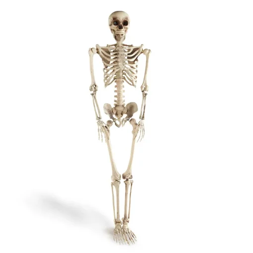 El Corte Inglés Esqueleto Articulado De Halloweenel Corte Ingles* Disfraces Y Complementos