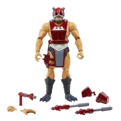MASTERS DEL UNIVERSO Figura De Accion Masters Of The Universe Eternia Zodak Mattel* Muñecos Articulados