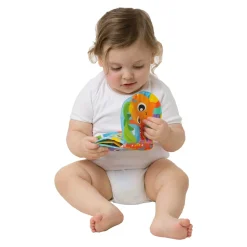 Playgro Libro De Bano * Preescolar