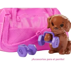 Barbie Muneca Modelo Con Accesorios Y Mascotas Bienestar* Munecas Y Peluches
