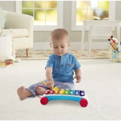 Fisher-Price Xilofono De Arrastre * Preescolar